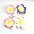 Large five-petal frangipani flower design; Soft foam material with smooth finish; Assorted colours including pink-yellow, purple-yellow and white-yellow; Pearl-style bead at the centre of each flower; Mounted on white backing card printed with “Simple Beautiful”;