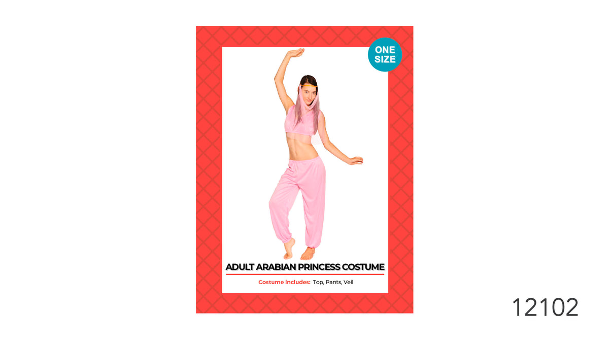 Pink cropped top and loose-fitting trousers; Pink veil worn over the head; Gold-coloured headband; Packaging states one size and lists top, pants and veil as included;