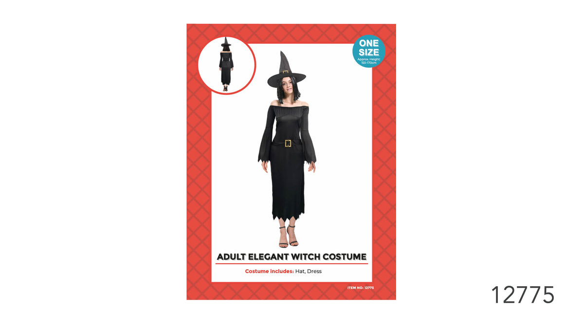 Black long dress with flared sleeves and a jagged hem; Black pointed hat with a wide brim and gold-coloured buckle; Costume shown on red and white packaging;