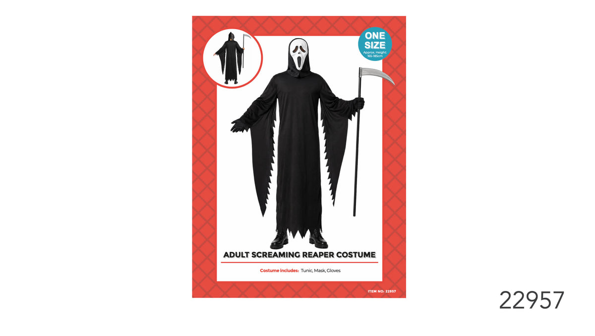 Long black hooded tunic with jagged edges; White mask with black eye and mouth openings; Black gloves shown with the costume; Red patterned costume packaging;