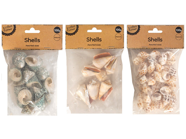 assorted natural shells; 100g clear plastic pack; brown kraft paper header; visible shell varieties: spiral, cone, spotted patterns; labelled as 'Shells Assorted sizes';