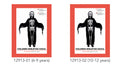 black tunic with white skeleton print; white ghost face mask; long sleeves with tattered design; child-sized costume;