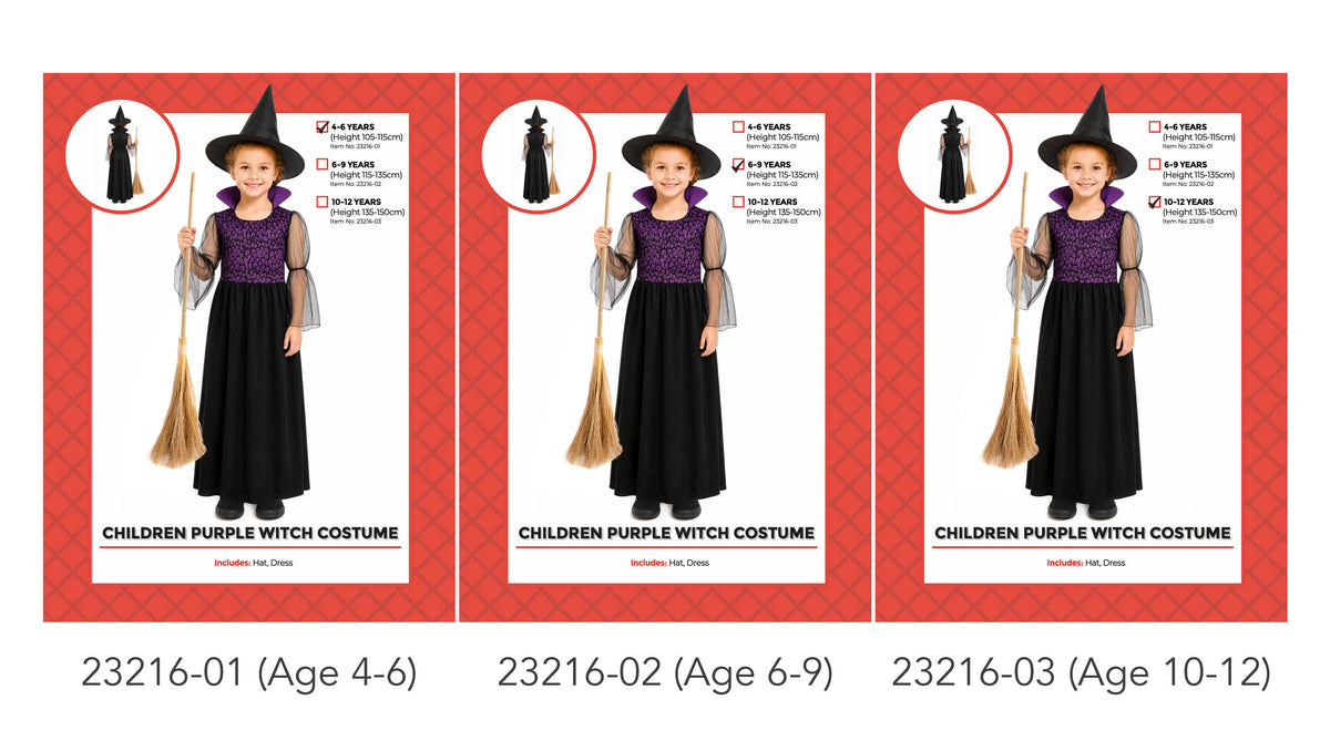 Black pointed witch hat; Purple patterned bodice; Long black skirt; Sheer black sleeves;