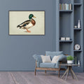 Image of a duck on canvas; Canvas in thin black or dark brown frame; Neutral beige background; Realistic hand-painted style; Size approx 92.5 x 62.5 cm;