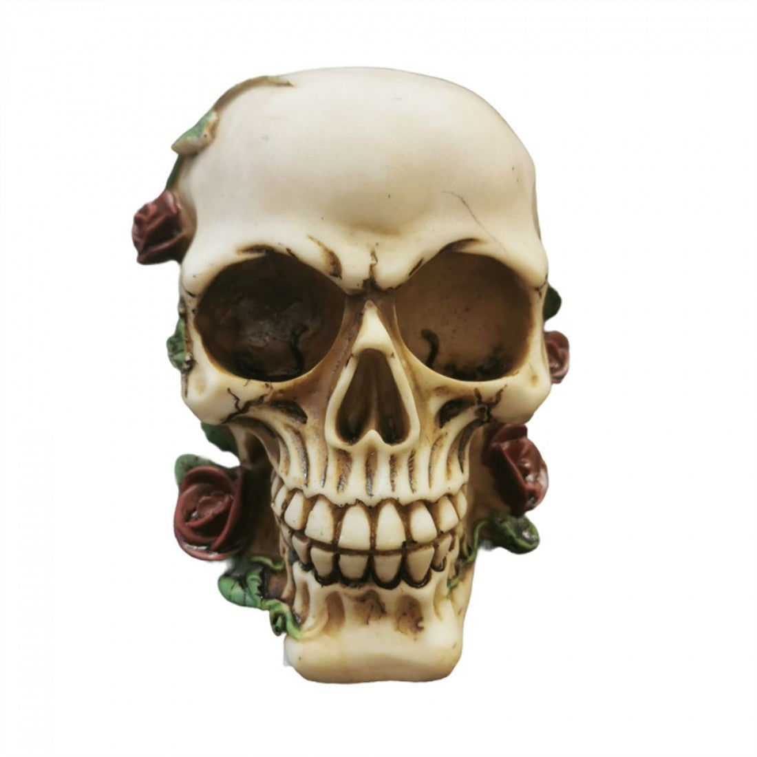 Bone-coloured skull-shaped ornament; Detailed eye sockets, teeth and facial features; Red roses and green vines around the skull; Resin material with aged, antique-style finish;